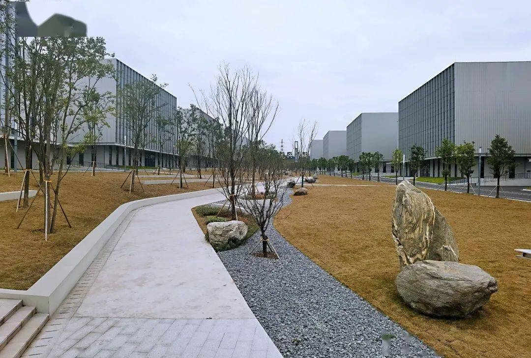 1686815738555115.jpeg (1)1.jpeg